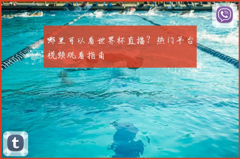 哪里可以看世界杯直播？热门平台视频观看指南