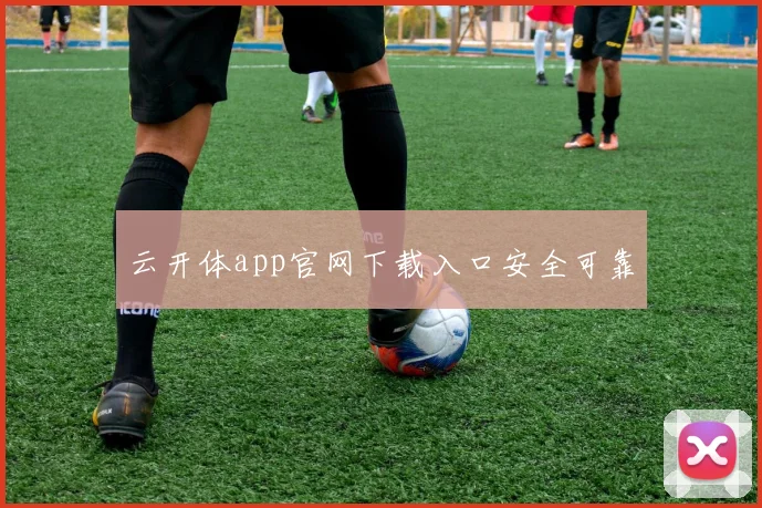云开体app官网下载入口安全可靠