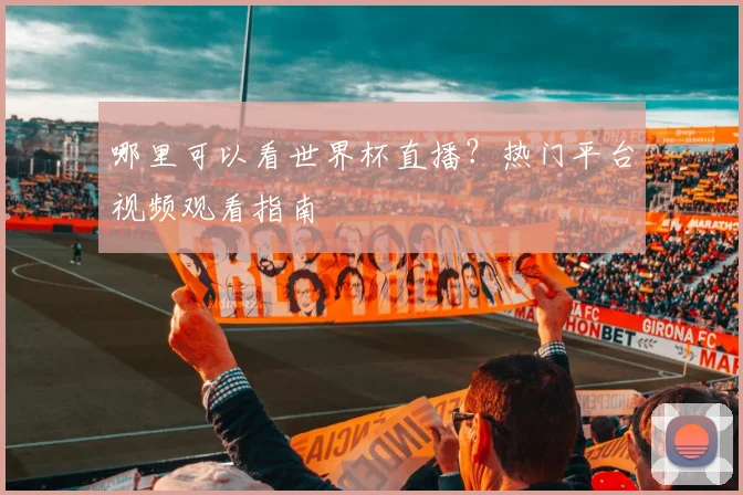 哪里可以看世界杯直播？热门平台视频观看指南