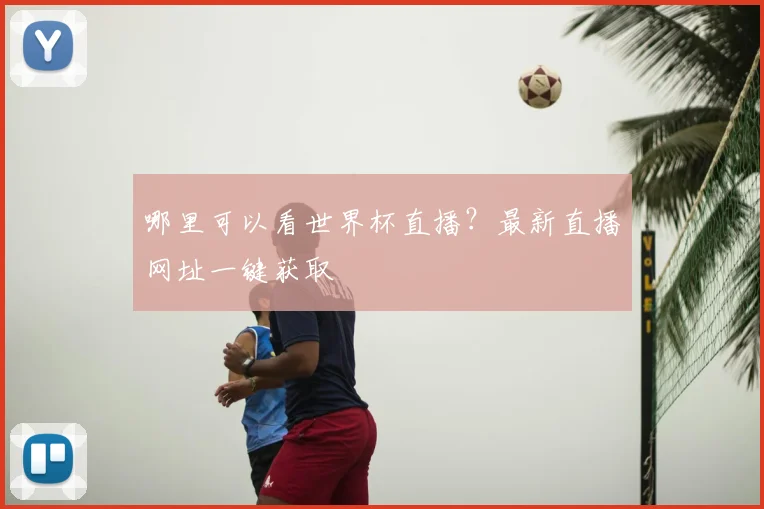哪里可以看世界杯直播？最新直播网址一键获取