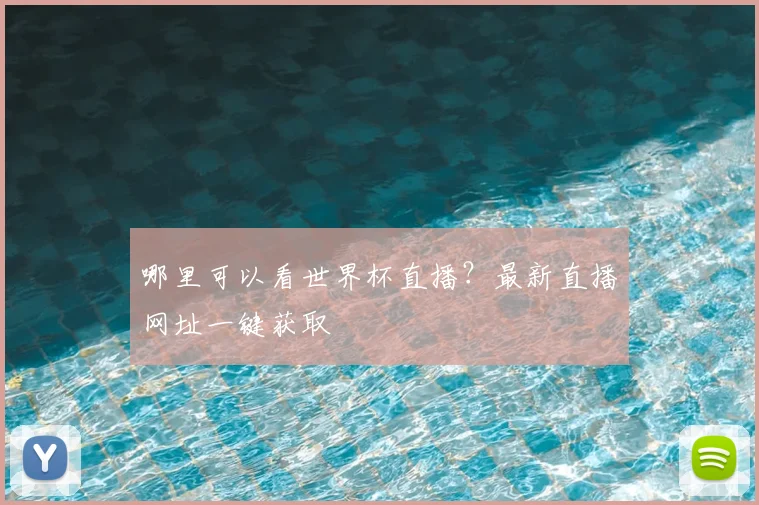 哪里可以看世界杯直播？最新直播网址一键获取